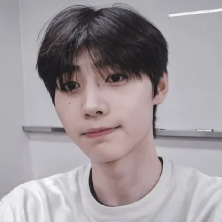 Sticker from park sunghoon ≡ @roleplaysticker
