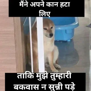 🔇 emoji Cheems in hindi Telegram sticker 22 of 23