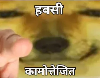 🤏 emoji Cheems in hindi Telegram sticker 9 of 23