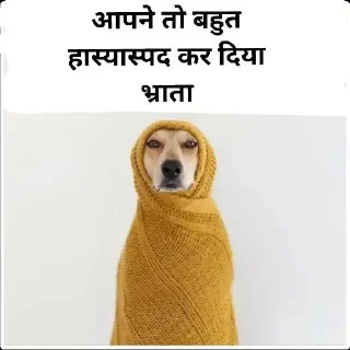 🤨 emoji Cheems in hindi Telegram sticker 8 of 23