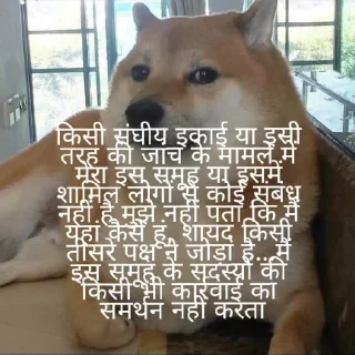 🐶 emoji Cheems in hindi Telegram sticker 18 of 23