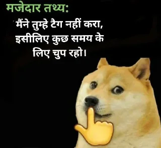 🤫 emoji Cheems in hindi Telegram sticker 14 of 23