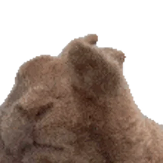 🐰 emoji nini 🧸's video pack (pt.1) Telegram sticker 11 of 92