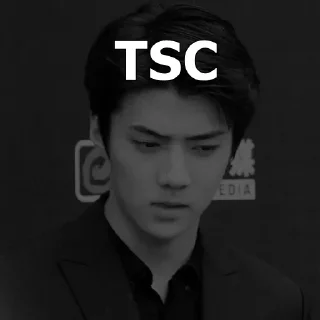 Sticker from sehun webdommer