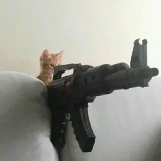 Sticker from @Vitor248 kang library Book.2
