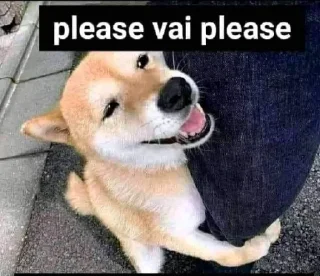 Sticker from Vai Sorry