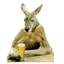 Sticker from kangaroo