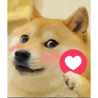 ❤️ emoji @clutch_g0d ka chori wala pamck Telegram sticker 18 of 64