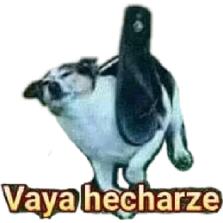 🙃 emoji Bastian 🤪🤟 Steal Pack 1 Telegram sticker 16 of 120