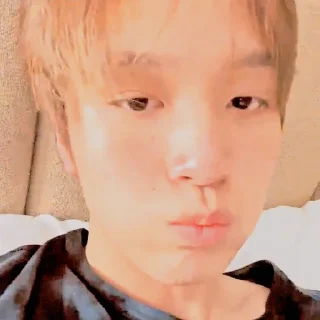 🐻 emoji ⟳ 𝐋ee 𝐇aechan @SUCKINGDlCK Telegram sticker 5 of 33