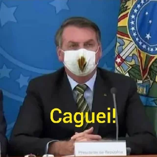 💩 emoji BR politics Telegram sticker 8 of 100