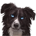 🤔 emoji Vin the Bordeaux Collie Telegram sticker 18 of 69