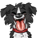 👅 emoji Vin the Bordeaux Collie Telegram sticker 6 of 69