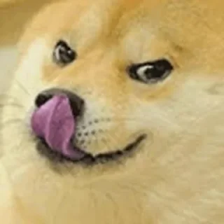 🐶 emoji sexo Telegram sticker 7 of 120