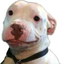 😏 emoji Tiposdecarinhas 2.0 Telegram sticker 13 of 39