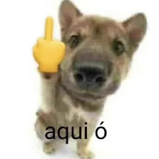 🖕 emoji BEBELU MIND Telegram sticker 5 of 85