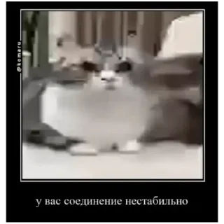 😉 emoji Комару (@emopix) Telegram sticker 8 of 22