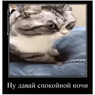 😒 emoji Комару (@emopix) Telegram sticker 17 of 22