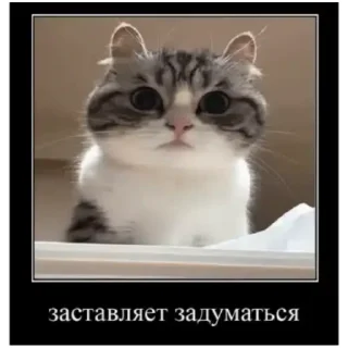 😙 emoji Комару (@emopix) Telegram sticker 13 of 22
