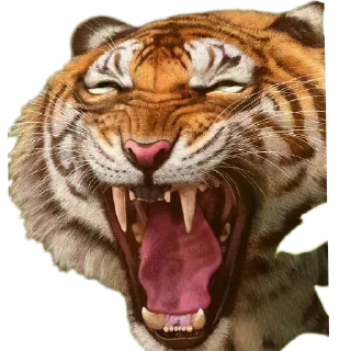 Sticker from Tigre