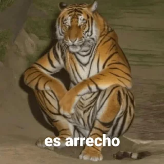 Sticker from Tigre