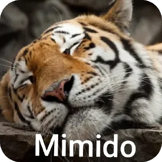 Sticker from Tigre
