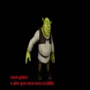 🏃 emoji Shrek do Zap by @Faberoso Telegram sticker 9 of 50