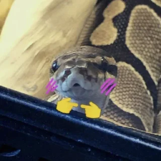 ☺️ emoji NXZ Snakes Telegram sticker 10 of 20