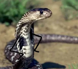 🤨 emoji NXZ Snakes Telegram sticker 12 of 20