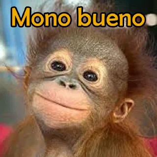 Sticker from mono roto