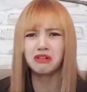 Sticker from Lisa meme @tikelbubbles