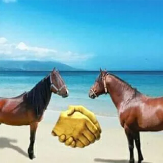 🤝 emoji Esto no es música, es droga Telegram sticker 20 of 108