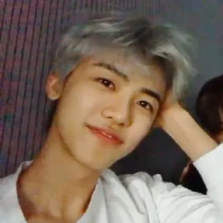 Sticker from alaska as jaemin｡