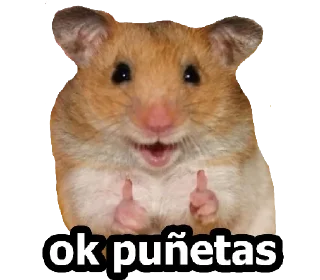 👍 emoji HÁMSTERS - [Instagram: @WiStickers] Telegram sticker 8 of 20
