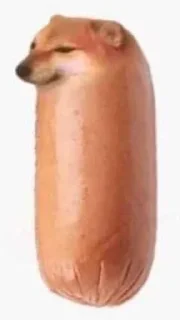 🌭 emoji Cheems Telegram sticker 18 of 25