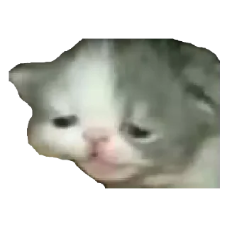 😔 emoji Dei Telegram sticker 5 of 22