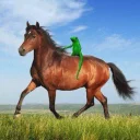 🐸 emoji horse memes Telegram sticker 15 of 32