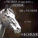 🐎 emoji horse memes Telegram sticker 17 of 32