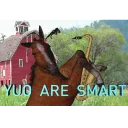 🤓 emoji horse memes Telegram sticker 3 of 32
