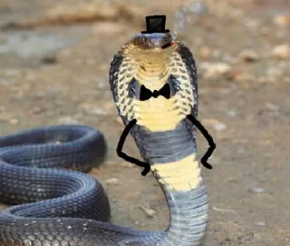 🧐 emoji NXZ Snakes Telegram sticker 8 of 20