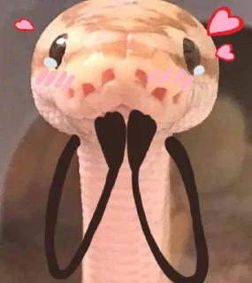🥰 emoji NXZ Snakes Telegram sticker 11 of 20