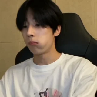 😶 emoji Seungwoo • @mstypc Telegram sticker 18 of 40