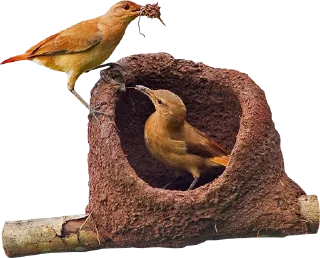 🕊 emoji Cultura Argentina Telegram sticker 19 of 28