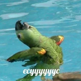 Sticker from ДикейОтДиСи
