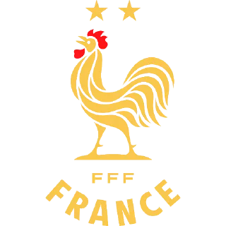 🇫🇷 emoji World Cup - @CanaldeFutebol Telegram sticker 14 of 120