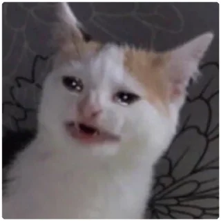 Sticker from Cat Crying - by @canaldobrayan