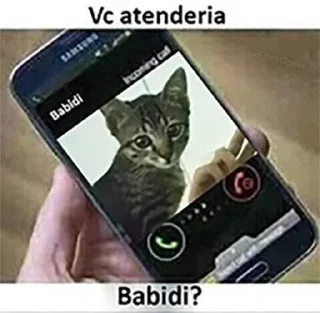 🐱 emoji babidi Telegram sticker 4 of 25