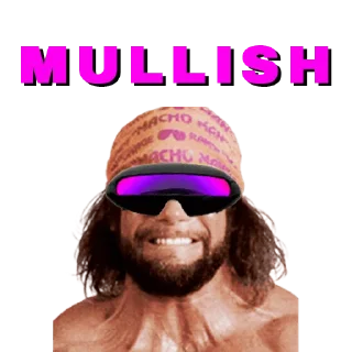 Sticker from $MULLET MONEY MISSION