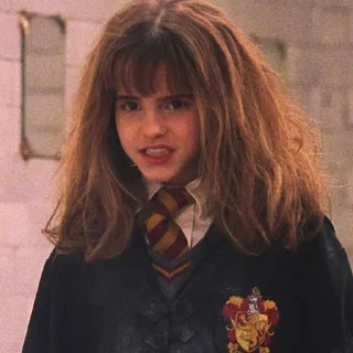 ✨ emoji Hermione ~ @PotterheadOncer Telegram sticker 21 of 27