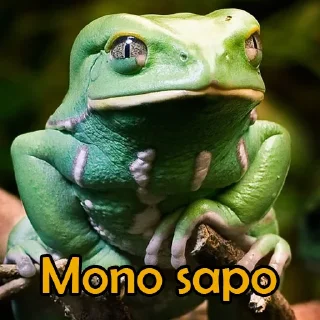 🐸 emoji mono roto Telegram sticker 6 of 18